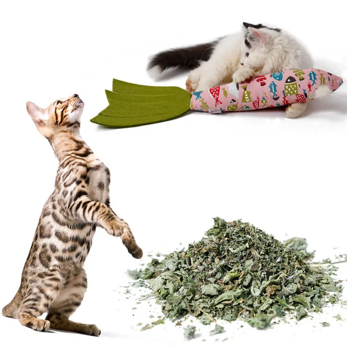 Новые игрушки для кошек Catnip кошки жевательные игрушки в форме рыбы Подушка игрушка с шумовой бумагой