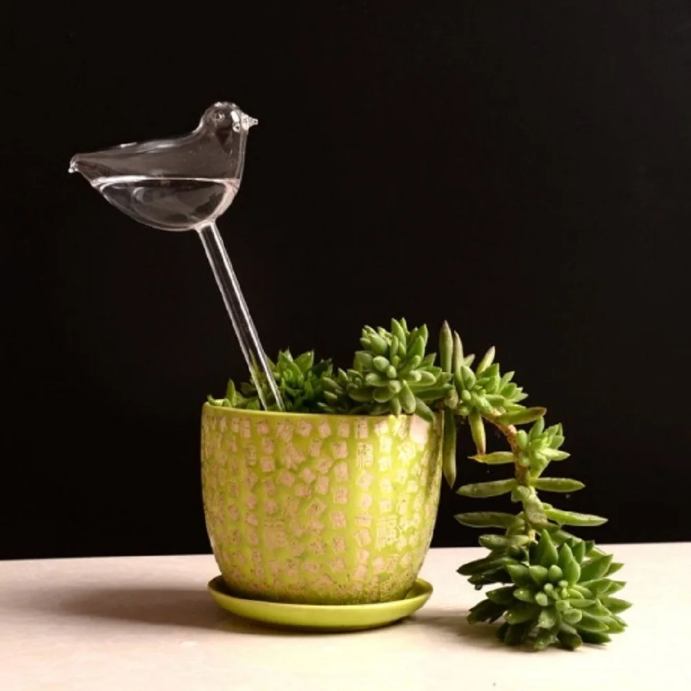 

6 Types Glass Plant Flowers Water Feeder Self Watering Bird Star Heart Design Plant Waterer In Home Garden