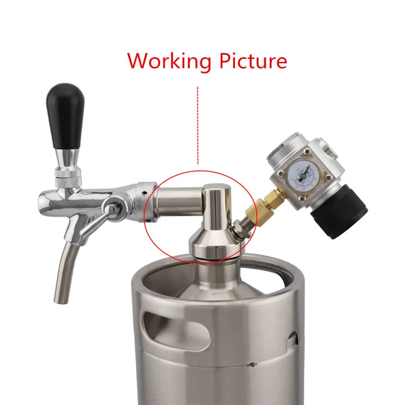 304 Stainless Steel Beer Spear Tap Mini Keg Dispenser for Adjustable Beer Faucet 2L 3.6L 5L Beer Growler (7)