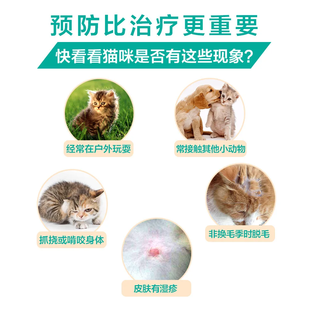 

In Vitro Well Drops Insect Drugs Blessing Flooding Cat to Flea France Tick Fu Liquid Cat for Hit Cat Product Whole Box