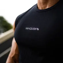 Осенний спортивный мужской жилет для занятий фитнесом, майка без рукавов для фитнеса и бега, облегающий тренировочный костюм