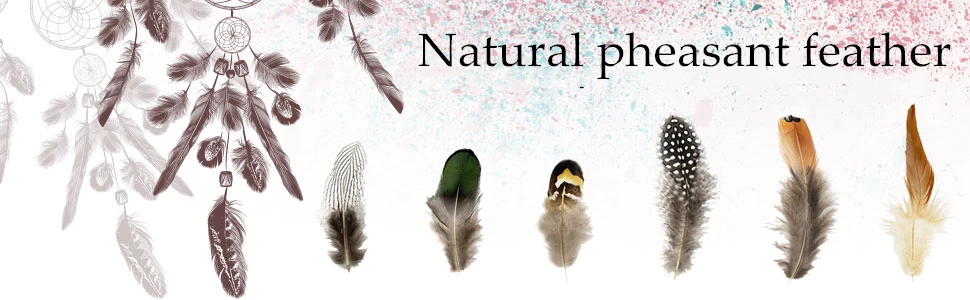 d734982c-0498-453a-8293-3a2e562595e6._CR0,0,970,300_PT0_SX970__