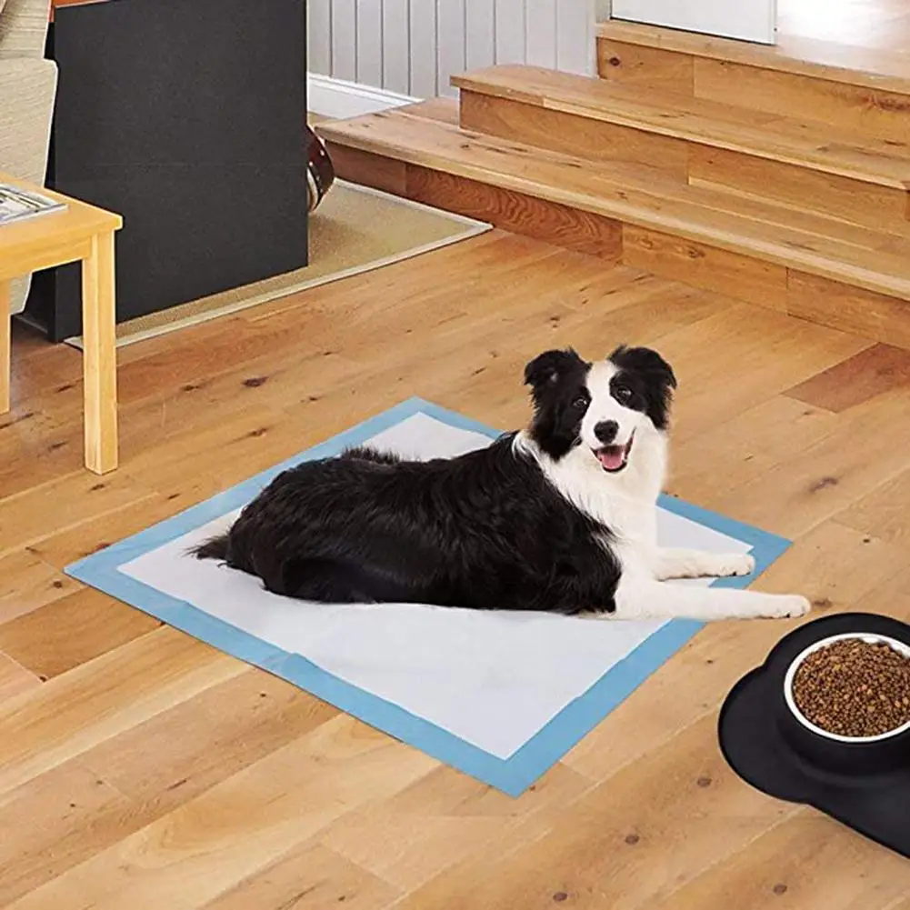 disposable dog bed covers