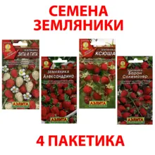 Семена Земляника ремонтантная для посадки набор 4 пакетика, семена земляники для дома, сада, дачи Семена Земляника ремонтантная для посадки набор 4 пакетика, семена земляники для дома, сада, дачи