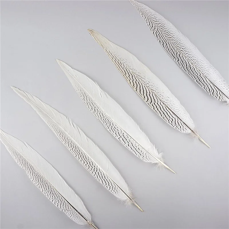 Pheasant Tail Feathers for Crafts Natural Silver Pheasant Feather Carnaval Wedding Feathers needlework accessories Decoration
