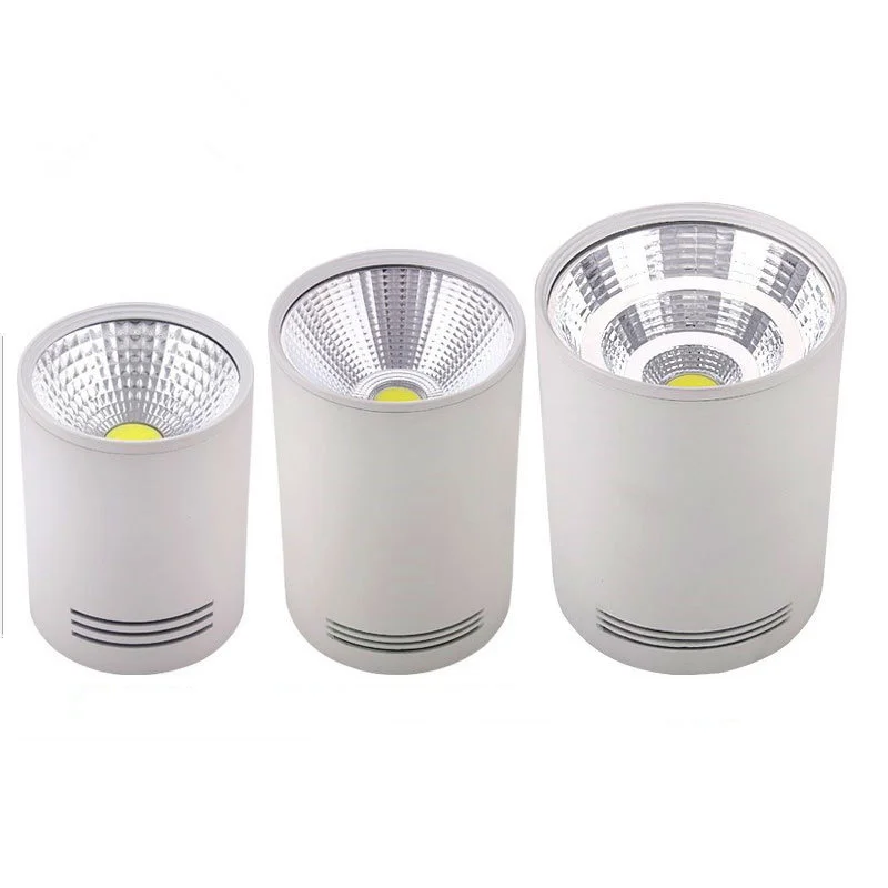 Surface LED Downlight 24