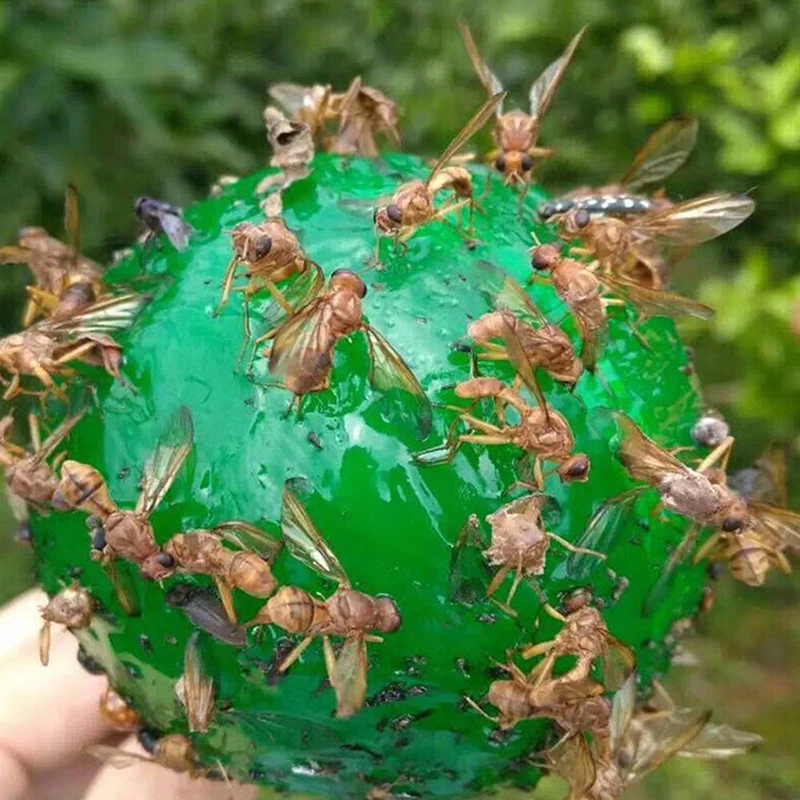 Pasta colgante para insectos, Bola de insectos, pegamento de pegatinas para moscas, trampas adhesivas, color amarillo y verde, atrapamoscas