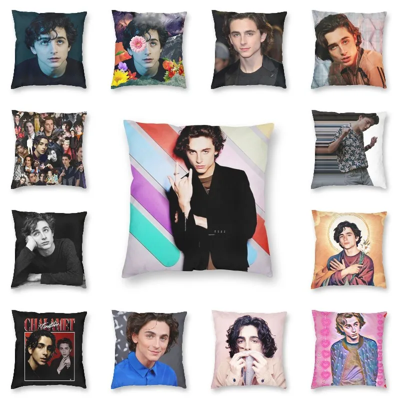 

Timothee Chalamet Square Pillow Cover Home Decorative 90s TV Actor Cushion Cover Throw Pillow for Car Double-sided Printing