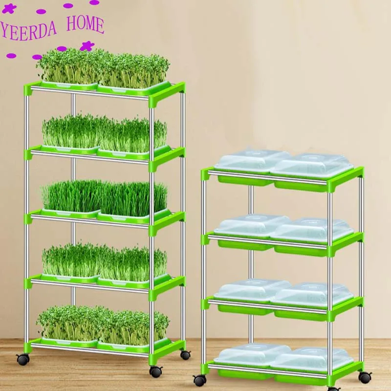 

1 set Soilless cultivation of waterborne vegetables with mung bean seedlings and wheat seedlings 14 options