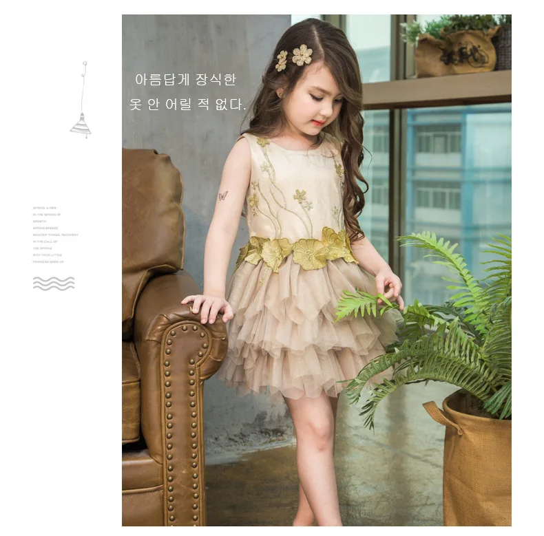New Style Korean-style GIRL'S Gown Embroidery Applique Gauze Puffy Princess Dress Children Performance Dance Dress