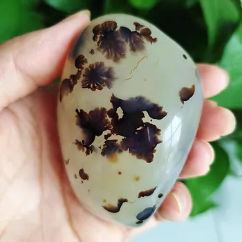 

Natural water plant agate stonePalm stone plaything stone yoga stone exercise stone material