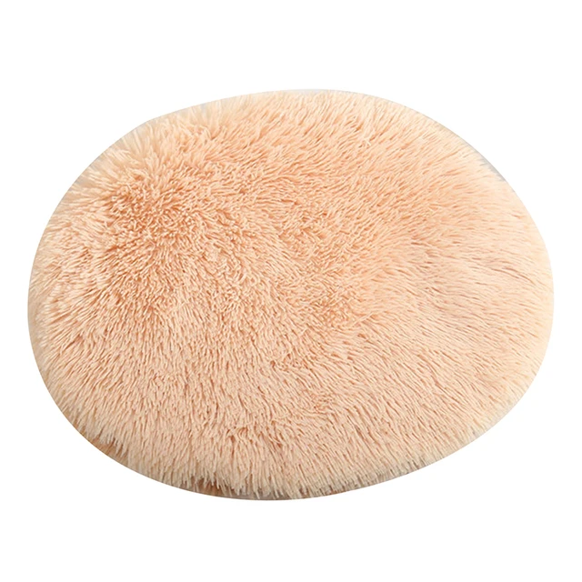 apricot S