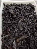 Rare Carbonado Black Diamond  Specimen 2