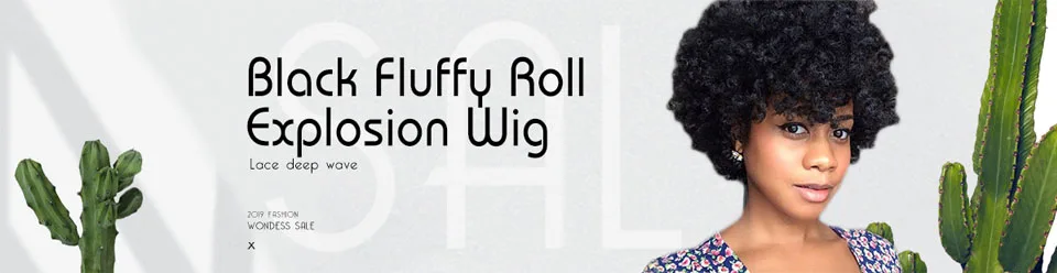 wig