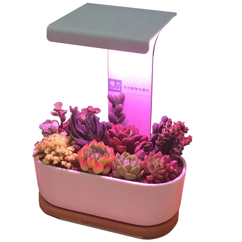 

Desktop Phyto Lamp Plant Flower Led Phytolamp for Plants Full Spectrum Coloring USB Lamp for Plants Indoor Nursery Artifacts