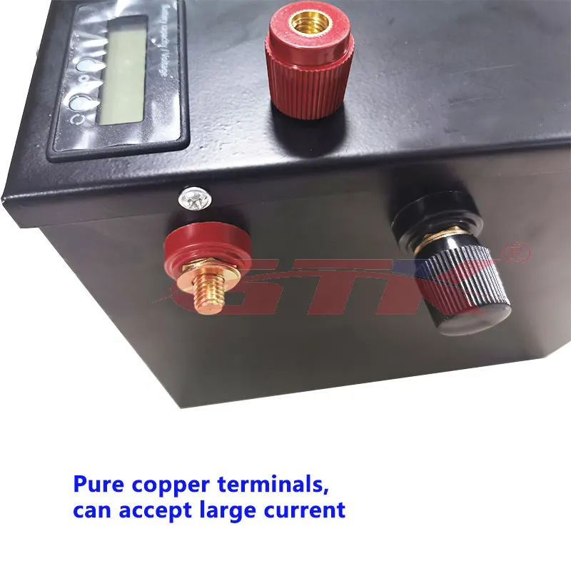 12V 100Ah LiFePO4 батарея литиевая с BMS заказной 48V 24V для лодочного двигателя автомобиля