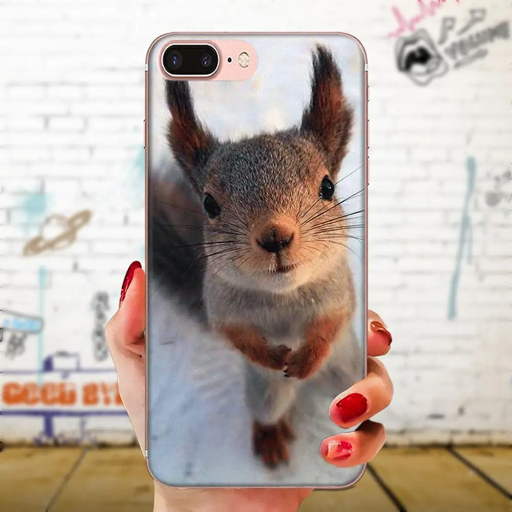TPU Live Love Phone белка арахис мышь для huawei P7 P8 P9 P10 P20 P30 Lite Mini Plus Pro Y9 Prime P Smart Z