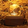 HOT-3D Crystal Ball Music Box The Deer Luminous Rotating Musical Box With Projection Led Light 6