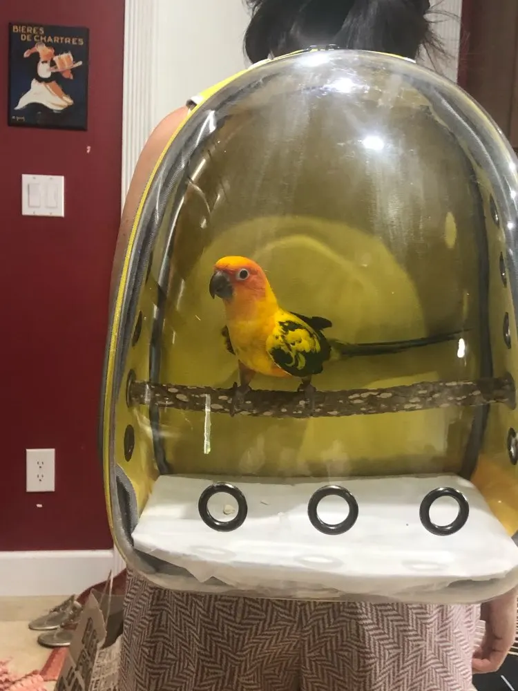 U0fb467ba66ae4901a2d90b2c19ffe72eZ