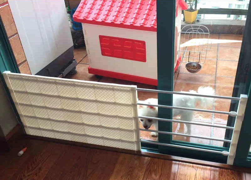 dog safety gate