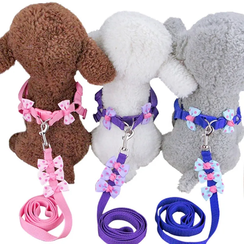 Arnés para perros de nailon con correas básicas, accesorio para mascotas, Collar para perro pequeño de raza Chihuahua, suministros para mascotas, otoño