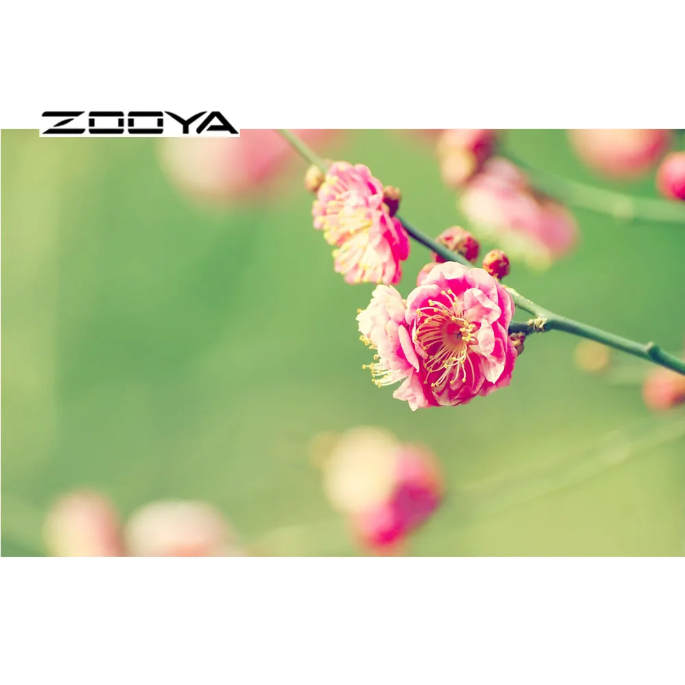 HTB1.AK1LpXXXXbjXFXXq6xXFXXXZ