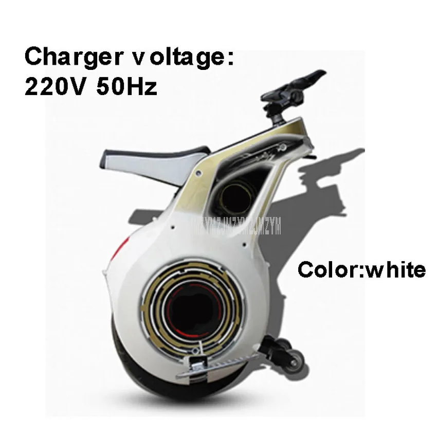 white Charger 220V 800 Вт Мощный электрический самокат с одним колесом от производителя onlywheel в Китае(стандарты 60V 19 дюймов мотоцикл электрический Одноколесный самокат с ручкой - Цвет: white Charger 220V