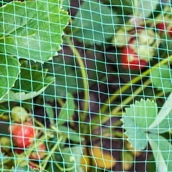 

Greenhouse Protective Net Fruit Vegetables Care Cover Insect Net Plant Covers Mesh Pest Control Anti-bird Garden Supplies