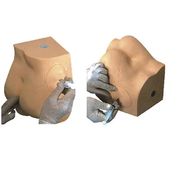 

Accessories practice model buttock training apparatus injection model teaching training specific model