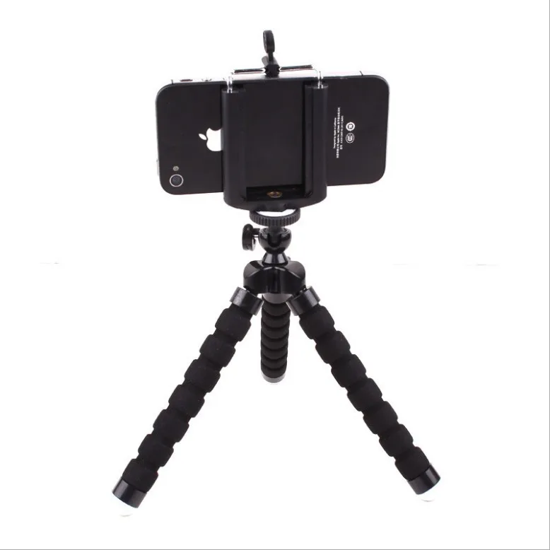 10155374133_247762995