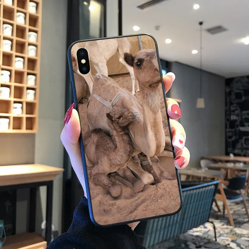 Hewan Unta Lucu Berwarna-warni untuk iPhone 8 7 6 6S Plus X XS MAX 5 5S SE XR 11 11pro Promax Ponsel