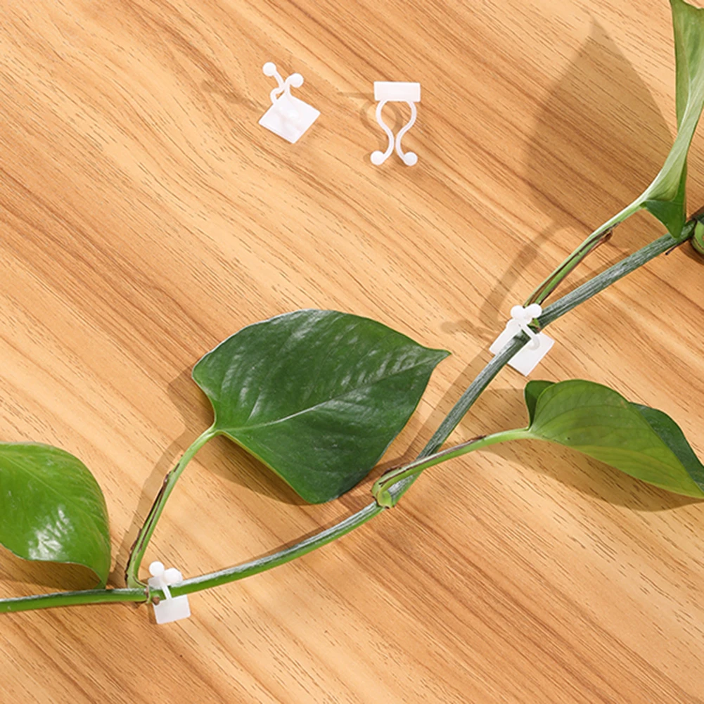 

New 100Pcs Plant Fixer Plant Climbing Wall Fixture Clipe Self-Adhesive Vine Holder Traction Invisible Sticky Hook Fixing Clamps