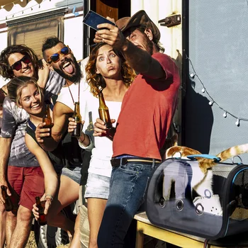 

1Pc Breathable Portable Comfortable Pet Storage Bag Pet Bag Storage Bag Pet Handbag for Pets