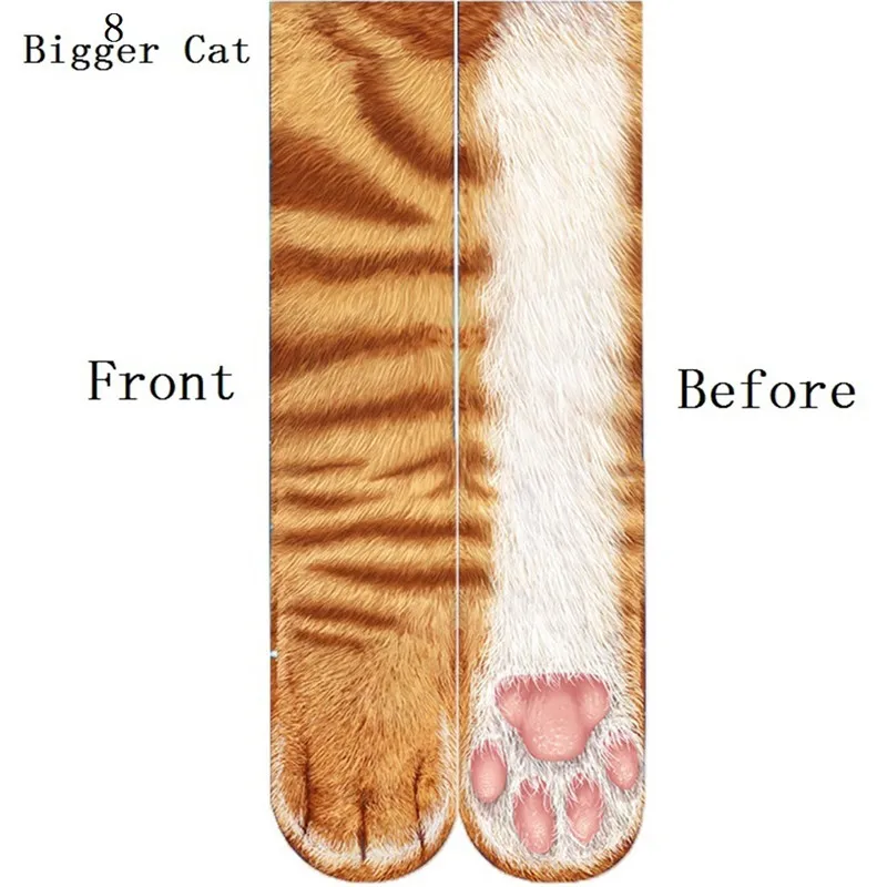 8-Bigger Cat