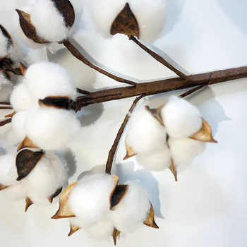 

New 10Pcs/Bunch Natural Dried Cotton Stems Farmhouse Style Artificial Plants Flower Wreath DIY for Home Wedding Party Decoration