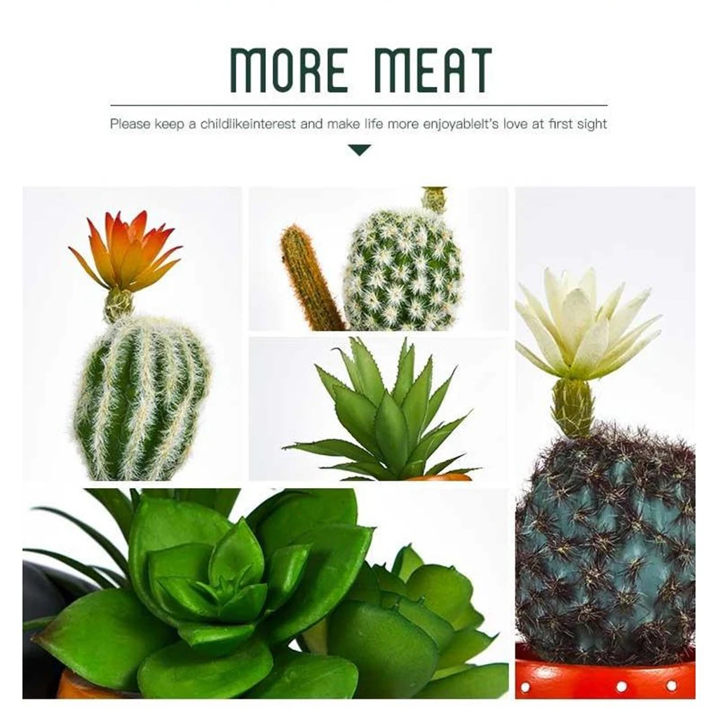 Succulent Planter Mini Flower Pot Plant Container Desktop Window Decoration