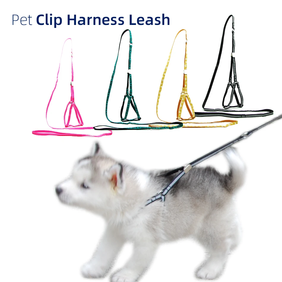 

Dog Cat Harness Leash Adjustable Clip Harness Lead Collar for Cat Puppy Small Dog Outdoor Walking Chihuahua Yorkshire Terier