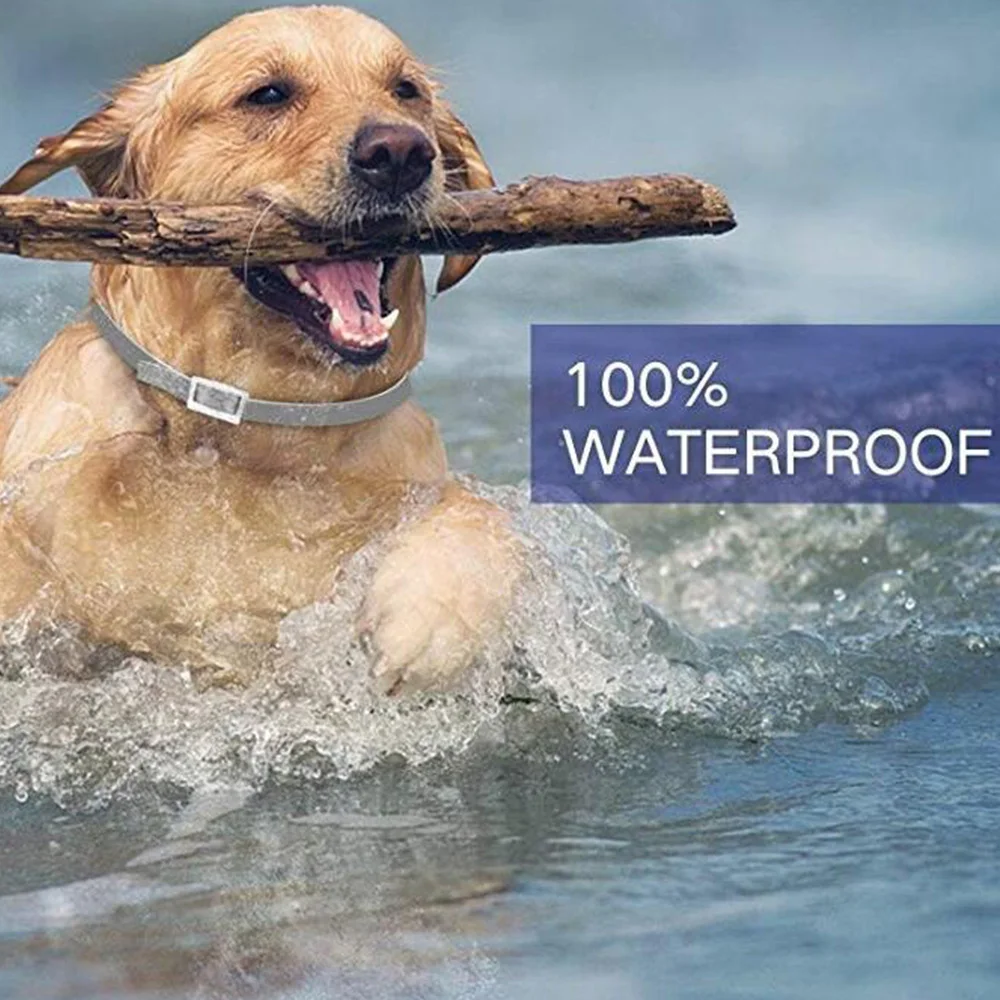 Pet deworming воротник кошка и собака Регулируемый москитный репеллент анти-Блоха Bayer Воротник