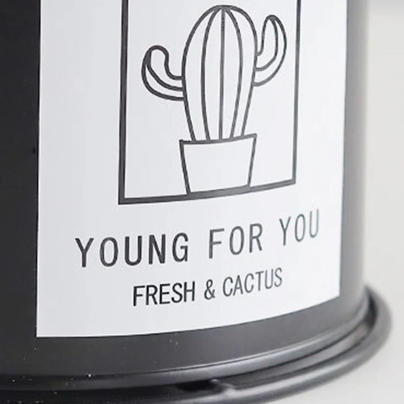 Портативный завод Стенд садовый декор флорист декоративный цветок стенд контейнер кованого железа кактус цветочный горшок Валентина