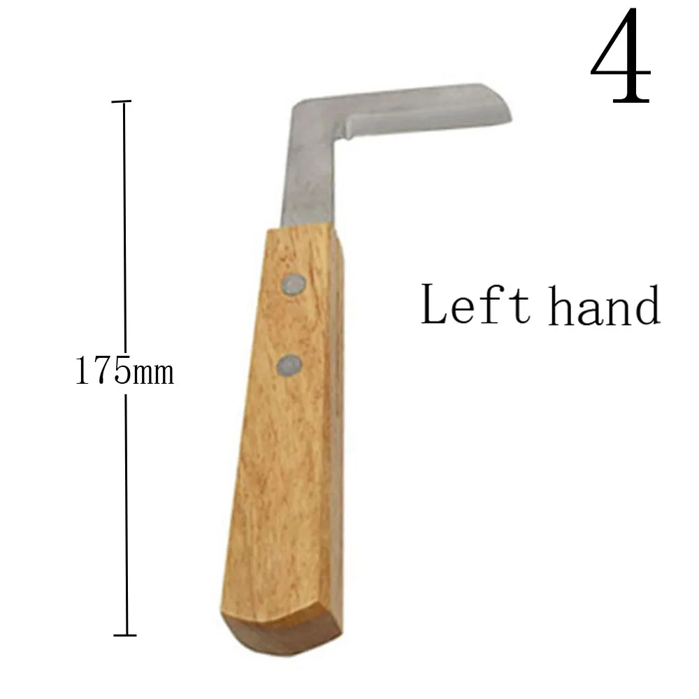 DSC_3660 - 副本 - 副本 (3)