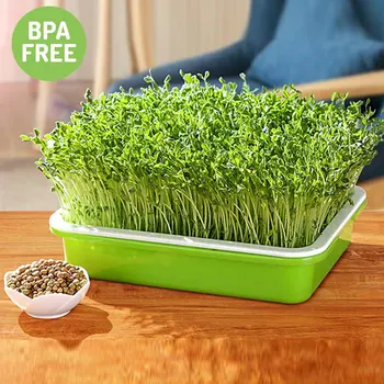 

5pc Wheat Grass Planting Seedling Plate Germination Board Hydroponic System Vegetable Seedling Plate PP Seedling Plate