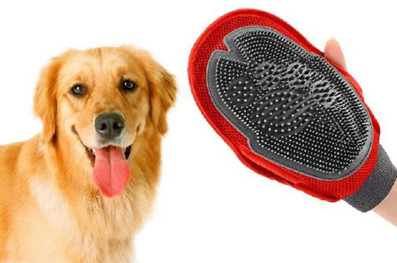 4910893238_500858157