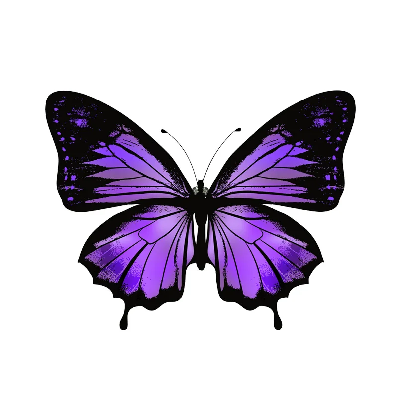 

Funny Butterfly Car Stickers Waterproof Bumper Boot Decals PVC 11cm X 14cm