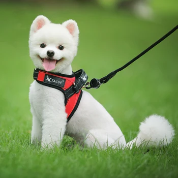 

Pet Dog TAILUP Harness For Chihuahua Pug Small Dogs Printed Puppy Cat Walking Harnesses Vest Pet Products