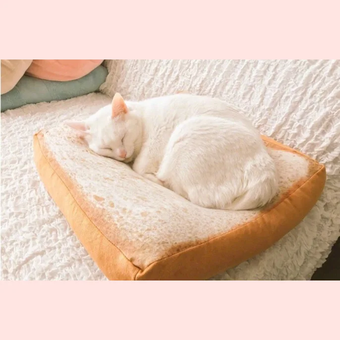 

Cat Pet Washable Coaster Plush Pillow Toy Weibo Celebrity Style Toast Bread Slice Seat Cushion