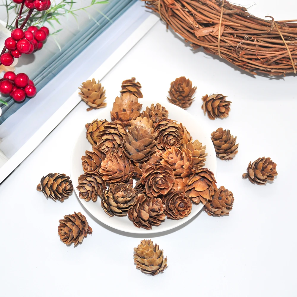Pinecone (2)