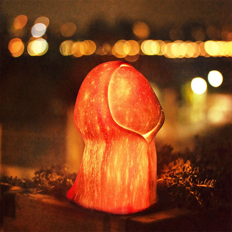 

TOP 3D Print Ghost Starry Lamp 16 Colors Remote Control LED Night Light USB Rechargeable Desk Lamp Home Decor