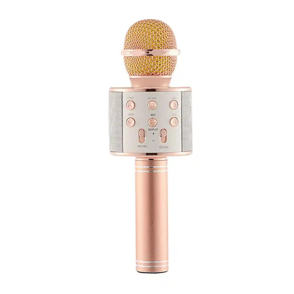 mic with speaker for kids