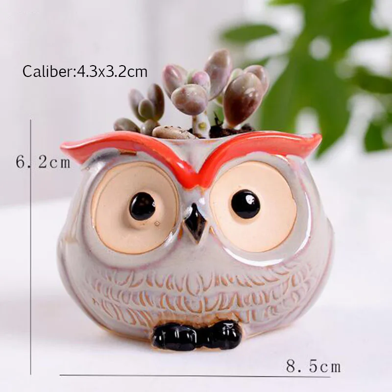 6 Pcs-set Mini Owl Flowerpot Plant Flower Pot Home Office Decor Planter Succulent Cactus Bonsai Plant Holder Garden decoration (5)
