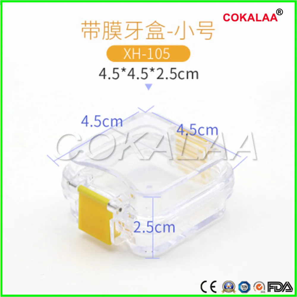 

10 PCS With Film Denture Storage Box Membrane Tooth Box Dental Teeth Box Dental Lab Material